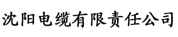 中文字幕在线精品视频入口一区电缆厂logo